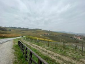 Die Hügel um Barolo